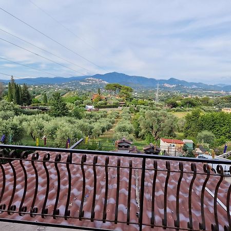 La Casa Tra Gli Ulivi Di Fonte Nuova 2 Villa Mentana Kültér fotó