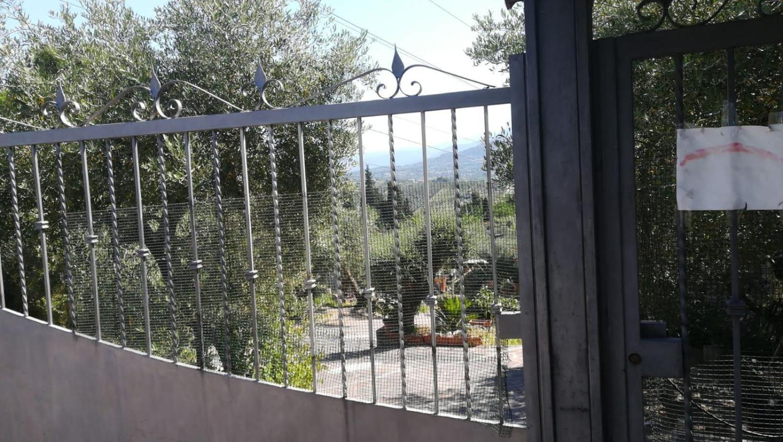La Casa Tra Gli Ulivi Di Fonte Nuova 2 Villa Mentana Kültér fotó