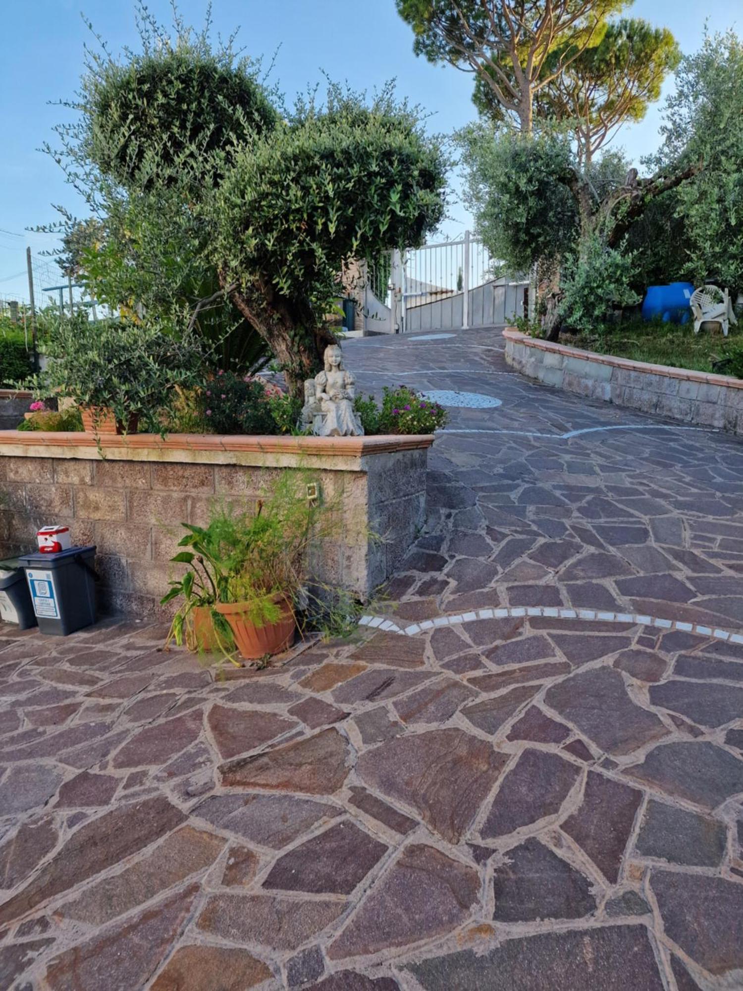 La Casa Tra Gli Ulivi Di Fonte Nuova 2 Villa Mentana Kültér fotó